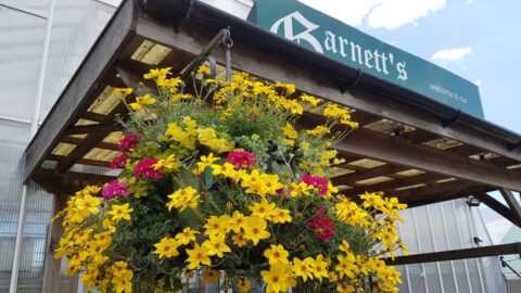 Suffolk Services Directory | Garden Services including garden centres