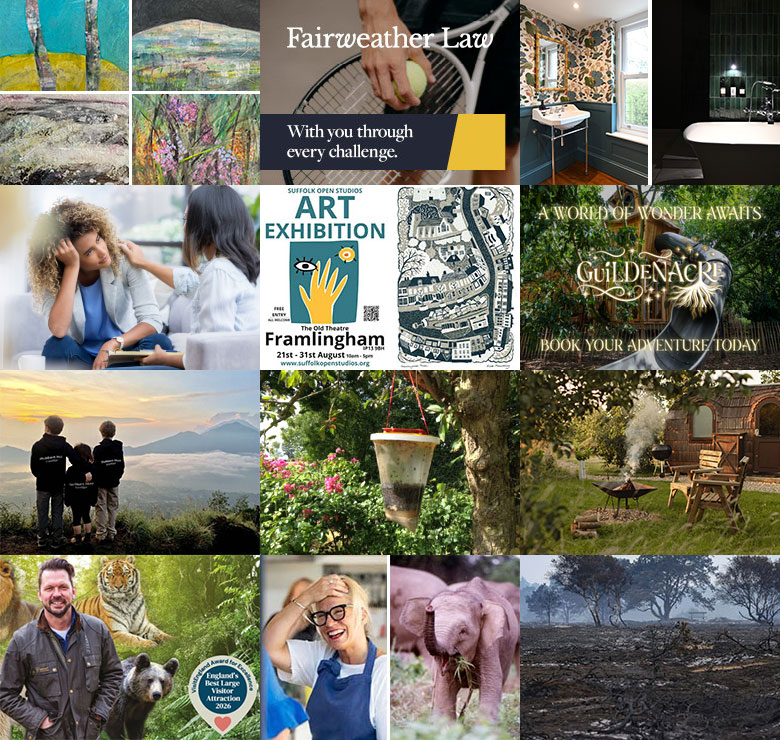 issue 395 of aboutfram
